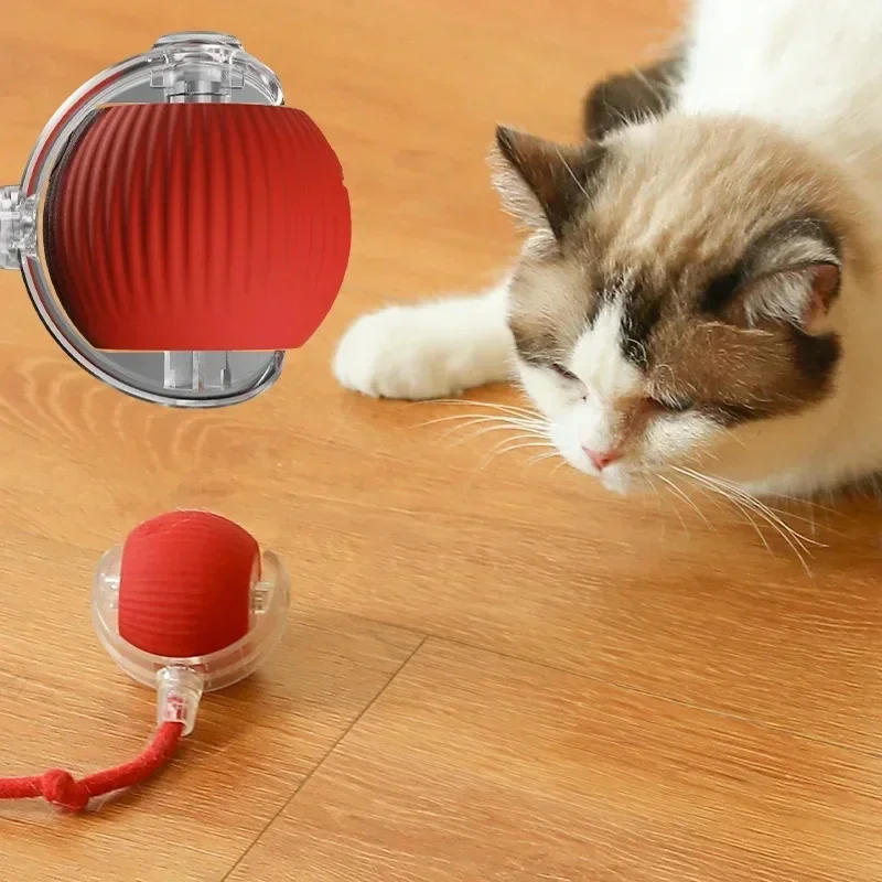 Cat Toy Ball - Image 5