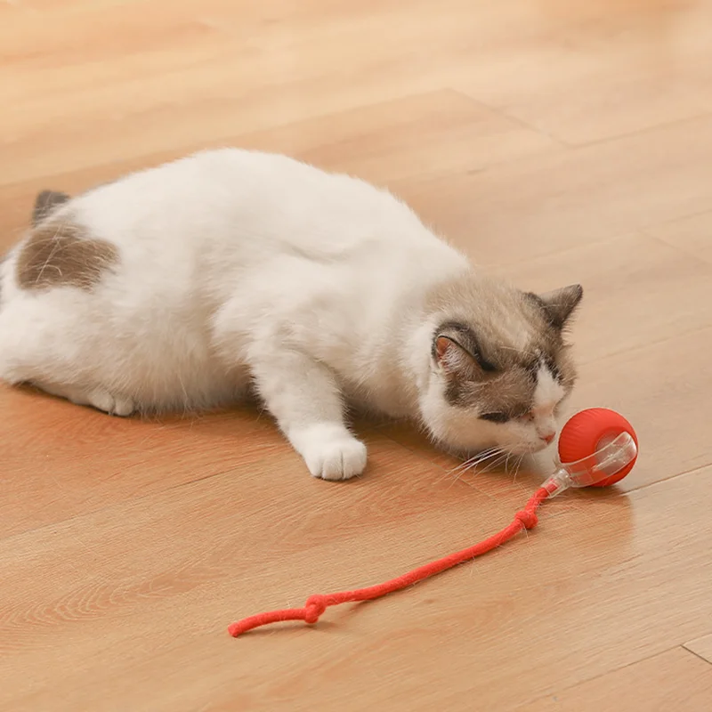 Cat Toy Ball - Image 4